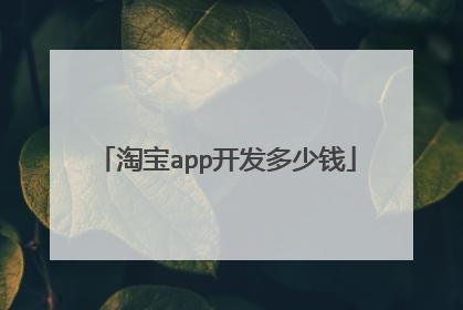 淘宝app开发多少钱