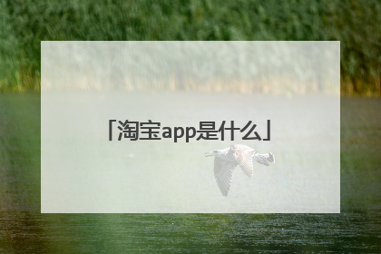淘宝app是什么
