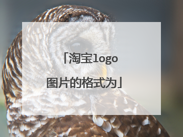 淘宝logo图片的格式为