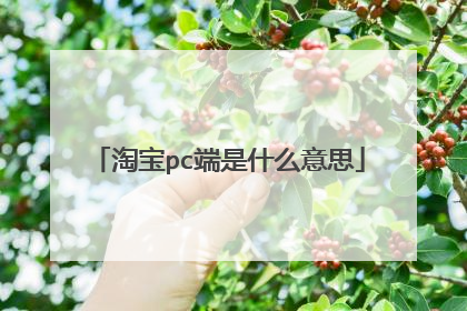 淘宝pc端是什么意思