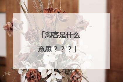 淘客是什么意思？？？