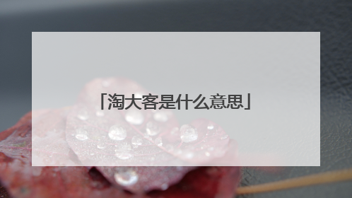 淘大客是什么意思