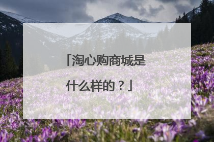 淘心购商城是什么样的?