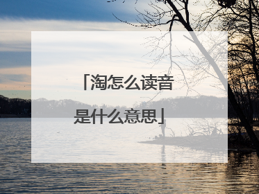 淘怎么读音是什么意思