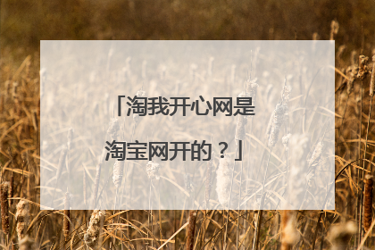 淘我开心网是淘宝网开的?