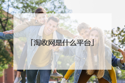 淘收网是什么平台