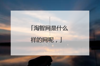 淘智网是什么样的网呢，