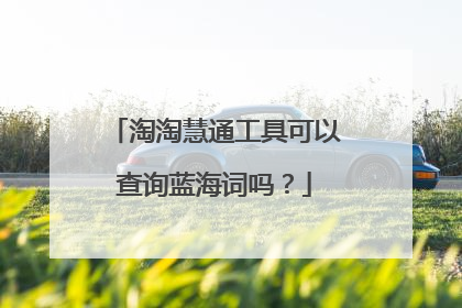 淘淘慧通工具可以查询蓝海词吗?