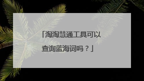 淘淘慧通工具可以查询蓝海词吗？