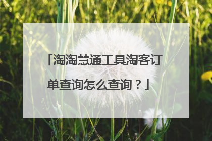 淘淘慧通工具淘客订单查询怎么查询?