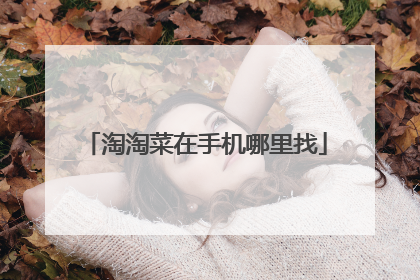 淘淘菜在手机哪里找