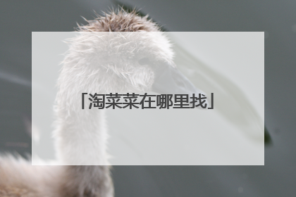 淘菜菜在哪里找