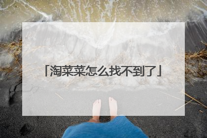 淘菜菜怎么找不到了