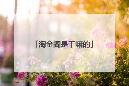 淘金阁是干嘛的