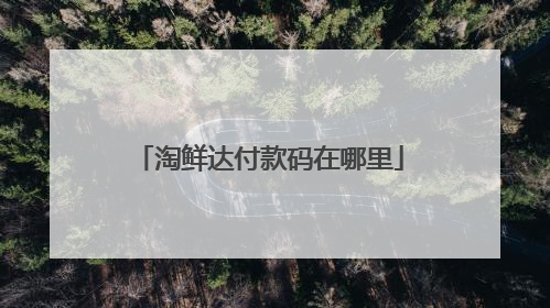 淘鲜达付款码在哪里
