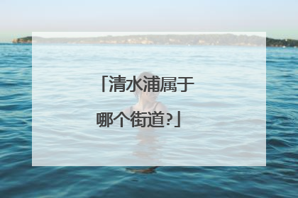 清水浦属于哪个街道?