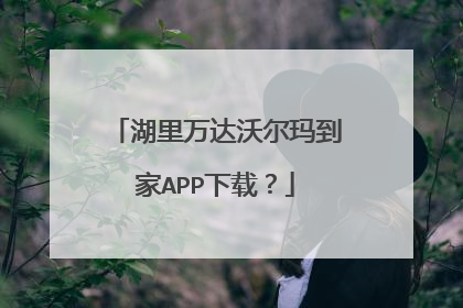 湖里万达沃尔玛到家APP下载?