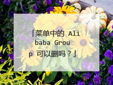 菜单中的 Alibaba Group 可以删吗?