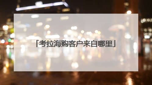 考拉海购客户来自哪里