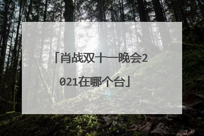 肖战双十一晚会2021在哪个台