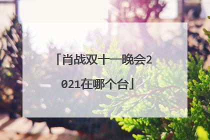 肖战双十一晚会2021在哪个台