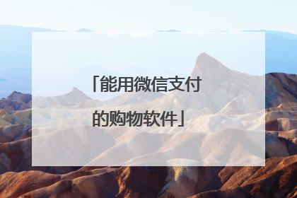 能用微信支付的购物软件