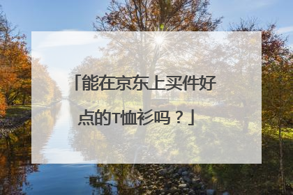 能在京东上买件好点的T恤衫吗?