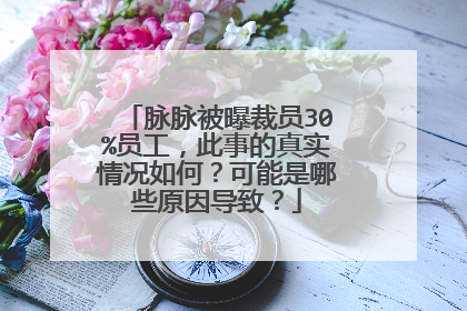 脉脉被曝裁员30%员工，此事的真实情况如何？可能是哪些原因导致？
