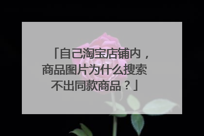 自己淘宝店铺内,商品图片为什么搜索不出同款商品?