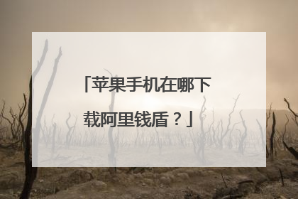 苹果手机在哪下载阿里钱盾?