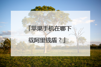 苹果手机在哪下载阿里钱盾？