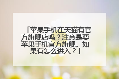苹果手机在天猫有官方旗舰店吗?注意是要苹果手机官方旗舰。如果有怎么进入?
