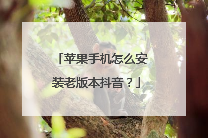 苹果手机怎么安装老版本抖音？