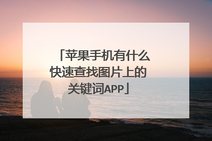 苹果手机有什么快速查找图片上的关键词APP