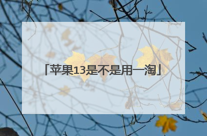 苹果13是不是用一淘