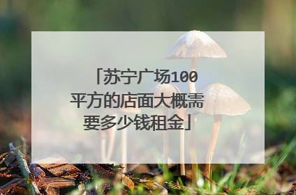 苏宁广场100平方的店面大概需要多少钱租金