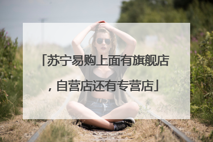 苏宁易购上面有旗舰店,自营店还有专营店