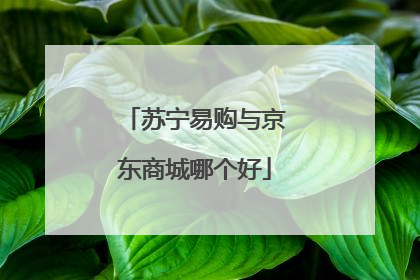 苏宁易购与京东商城哪个好