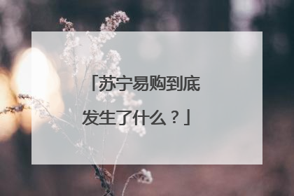 苏宁易购到底发生了什么？