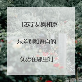 苏宁易购和京东差别和各自的优势在哪里?