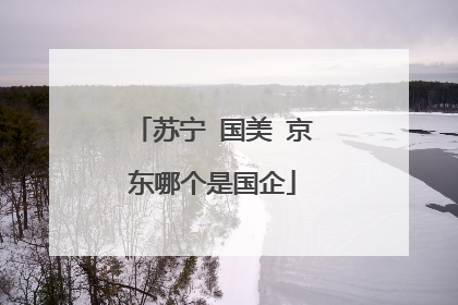 苏宁 国美 京东哪个是国企