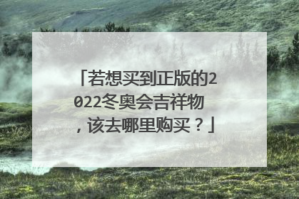 若想买到正版的2022冬奥会吉祥物,该去哪里购买?