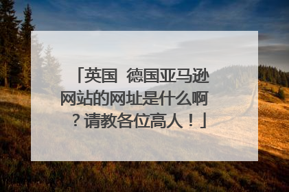 英国 德国亚马逊网站的网址是什么啊?请教各位高人!