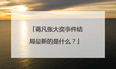 蒋凡张大奕事件结局最新的是什么?