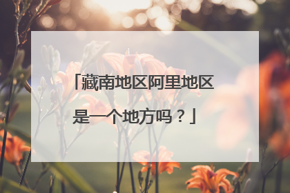 藏南地区阿里地区是一个地方吗?