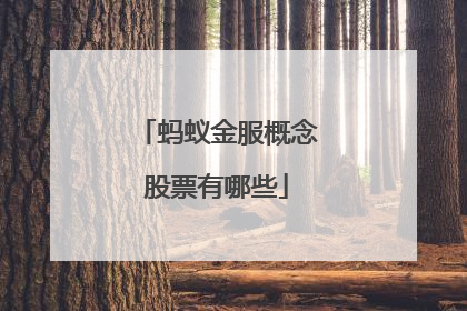 蚂蚁金服概念股票有哪些