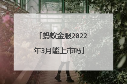 蚂蚁金服2022年3月能上市吗