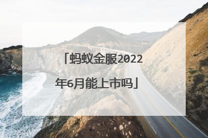 蚂蚁金服2022年6月能上市吗