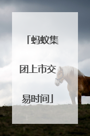 蚂蚁集团上市交易时间