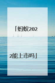 蚂蚁2022能上市吗